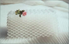 ���Ƿ�������