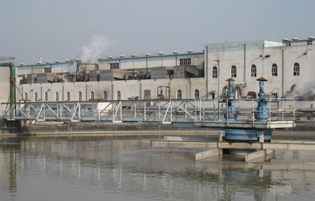 ���Ĵ��������