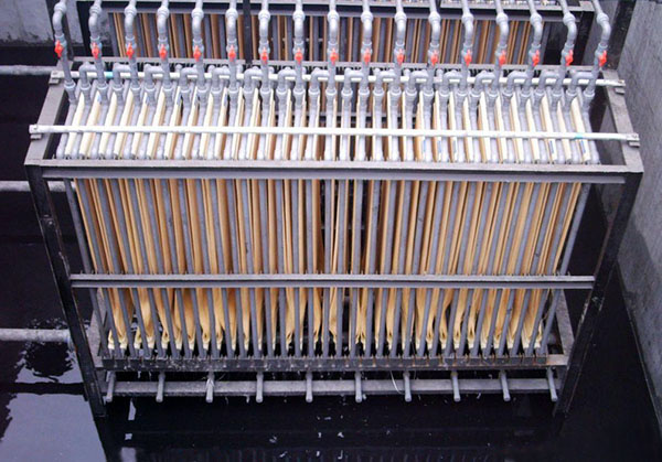 Ĥ���ﷴӦ��Membrane bioreactor
